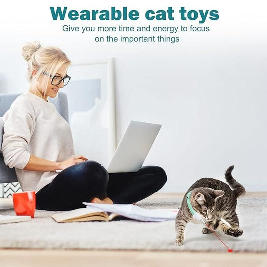 Laser Pet Toy